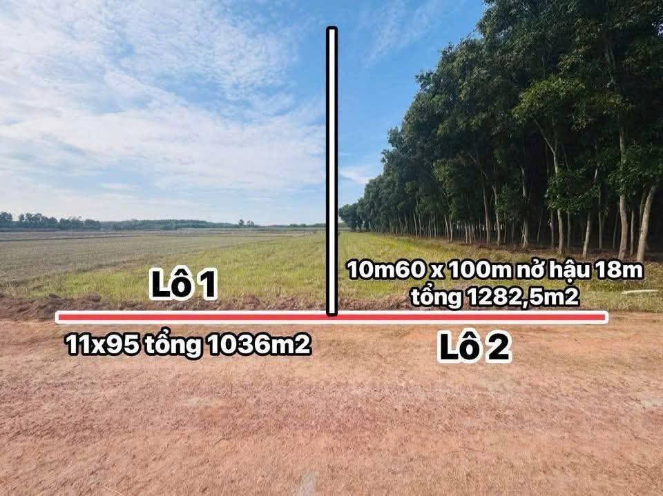 Đất nền Châu Thành Tây Ninh - Diện tích lớn 1.282m² - Giá chỉ 249 triệu!