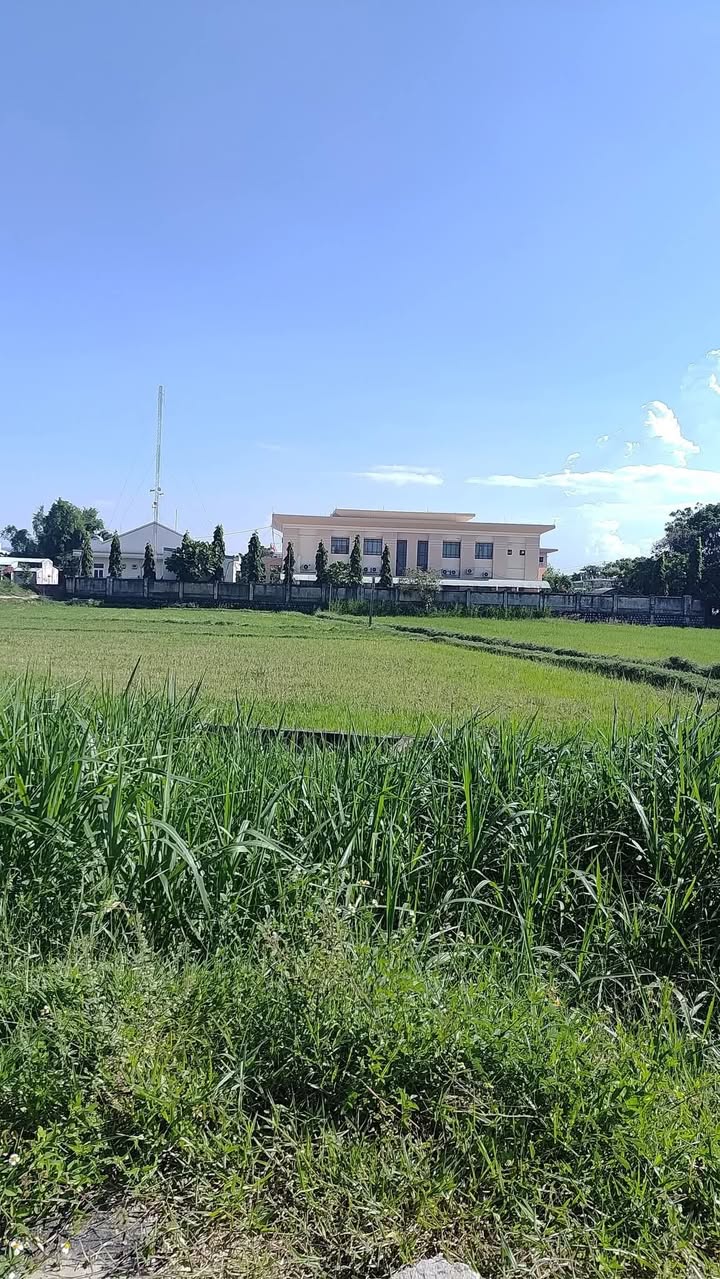 Đất nền Phước Hiệp Tuy Phước 140m² giá 800 triệu - Khu dân cư sầm uất!