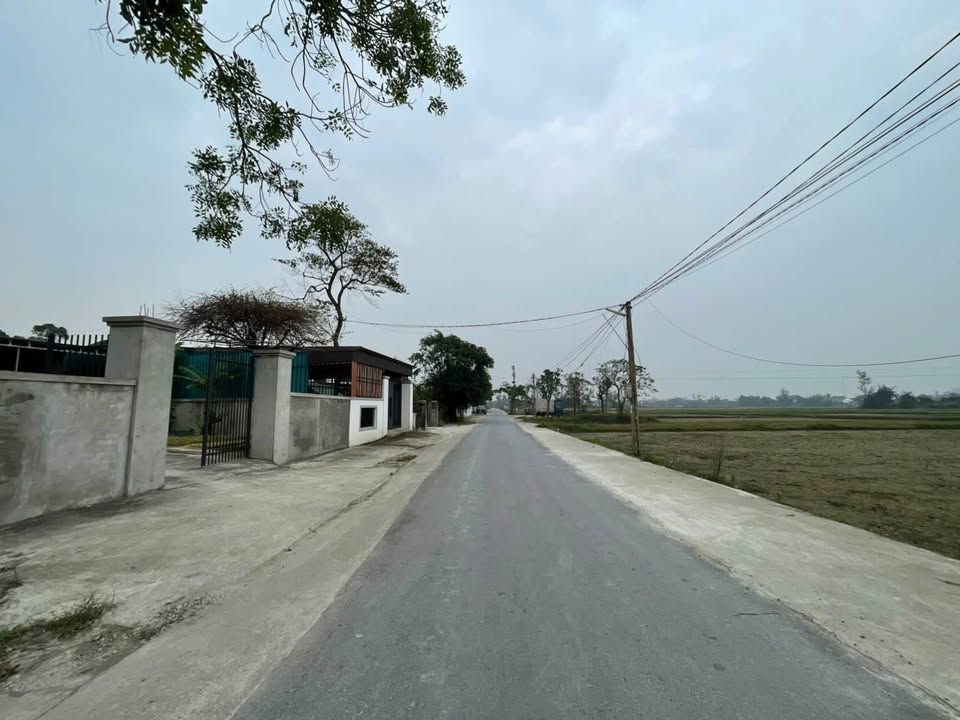 Đất nền góc Nghi Phong 88m² giá chỉ 1.4 tỷ - Tiềm năng đầu tư lớn!