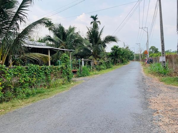 Đất nền đẹp 1050m² tại Thanh Phước, Gò Dầu - Giá cực rẻ, sổ hồng riêng!