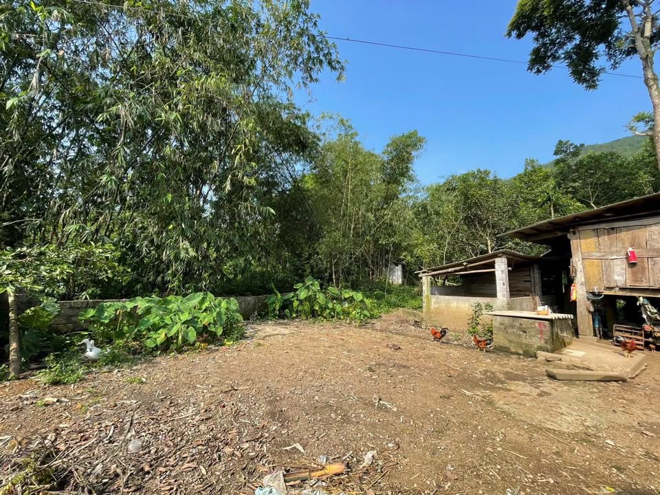 Đất nền 2000m² tại Kim Bôi, Hòa Bình - Giá tốt, pháp lý rõ ràng!