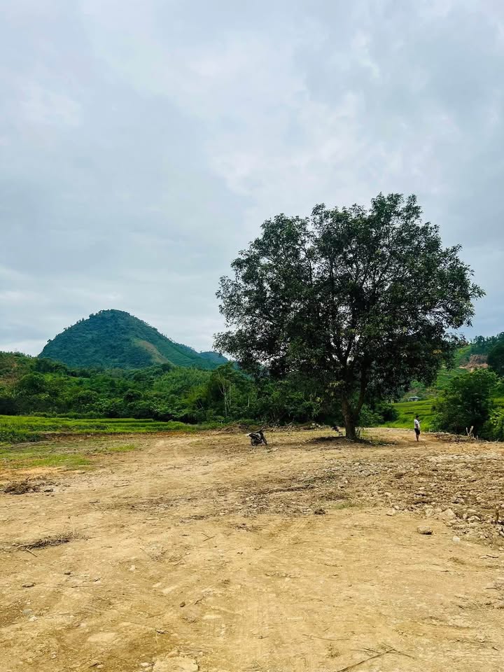 Đất nền Tân Hòa Hòa Bình 3000m² view suối - Giá thỏa thuận cho nhà đầu tư!