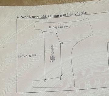 Đất nền Tân Yên 230m² giá 1 tỷ - Phù hợp cho ở và kinh doanh!