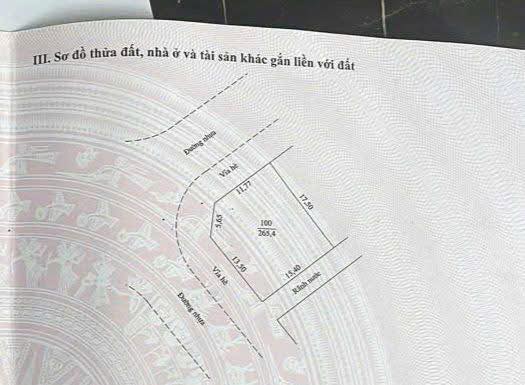Bán lô góc biệt thự Xương Giang Bắc Giang 265m² - Gần hồ điều hòa, view thoáng mát!