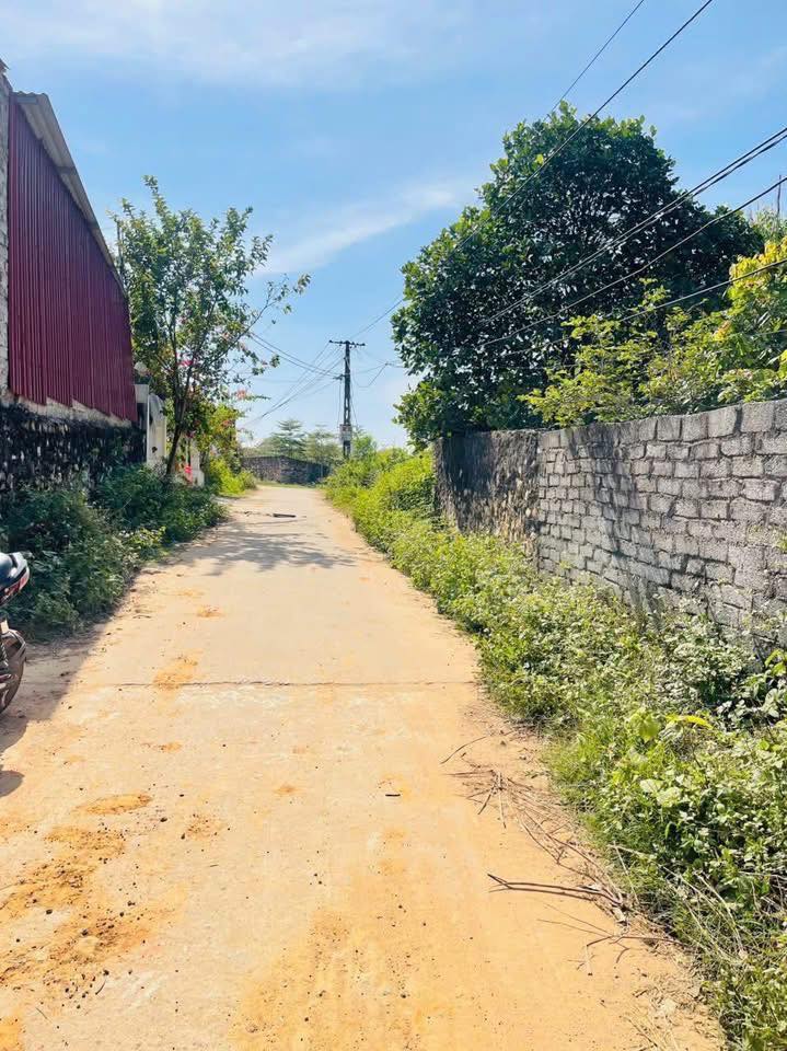 Đất nền Lục Nam 197m² giá 1.1 tỷ - Mặt tiền 8m, đường thông tứ ngả!