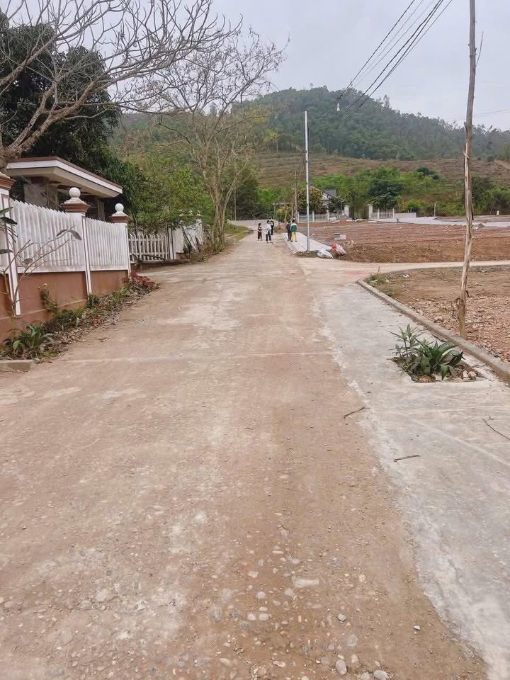 Đất nền Tu Vũ, Thanh Thủy 129m² giá 400 triệu - Đường vào tận nơi!