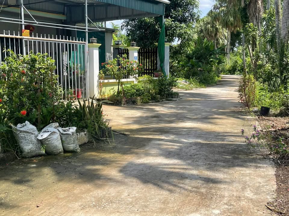 Đất nền đẹp tại thôn Thống Nhất, xã Minh Khôi, Nông Cống - Diện tích 264m² giá thỏa thuận hấp dẫn!