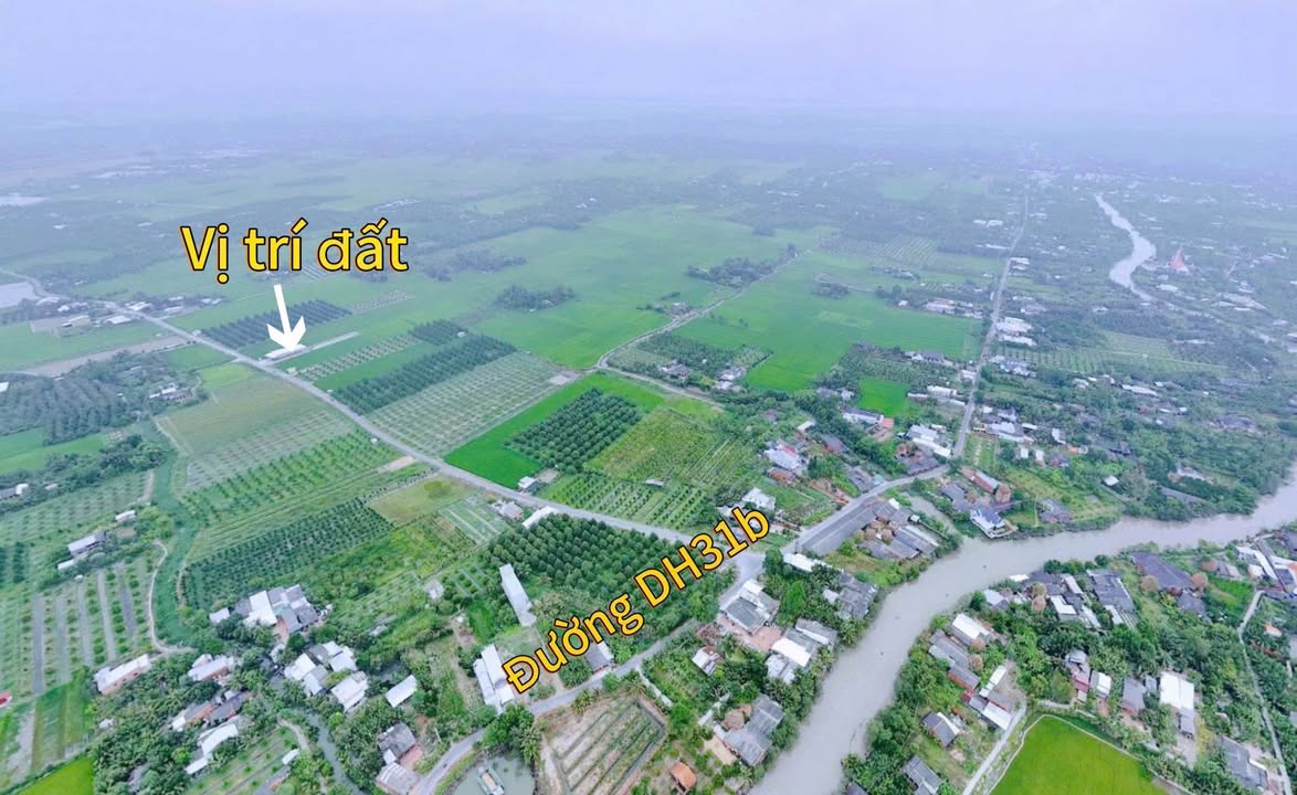 Đất Nhơn Phú, Mang Thít, Vĩnh Long 2969m² - Sổ đỏ chính chủ, giá chỉ 1.2 tỷ!