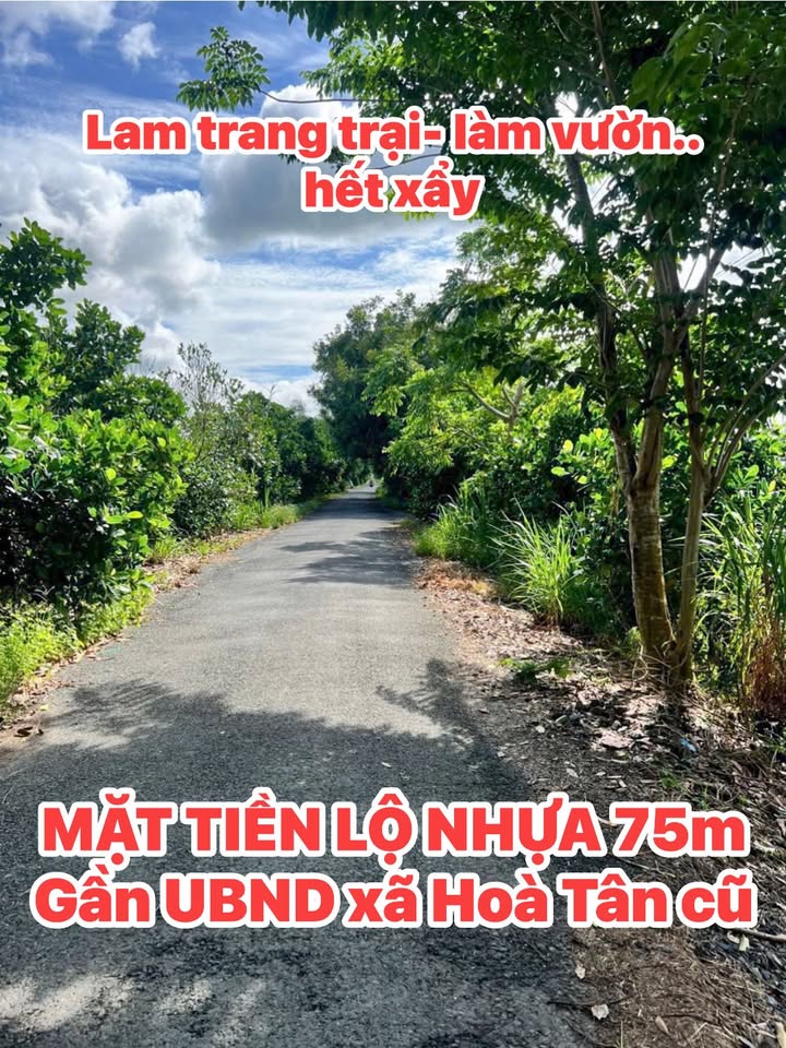 Đất nông nghiệp 10.000m² tại Hòa Tân, Châu Thành - Giá 3 tỷ, cơ hội đầu tư hấp dẫn!