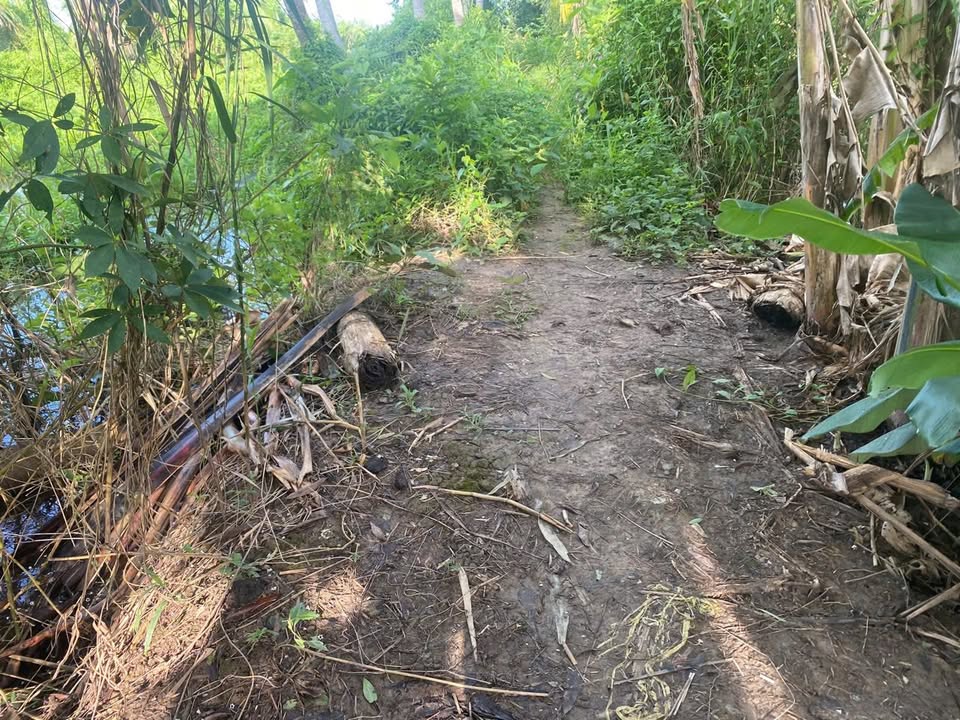 Đất nền Phú Thịnh 59m² giá chỉ 165 triệu - Cơ hội đầu tư tuyệt vời!