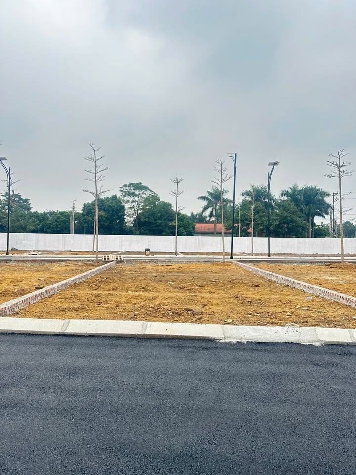 Lô đất vàng Hòa Lạc 100m² giá cắt lỗ - Sổ đỏ chính chủ!