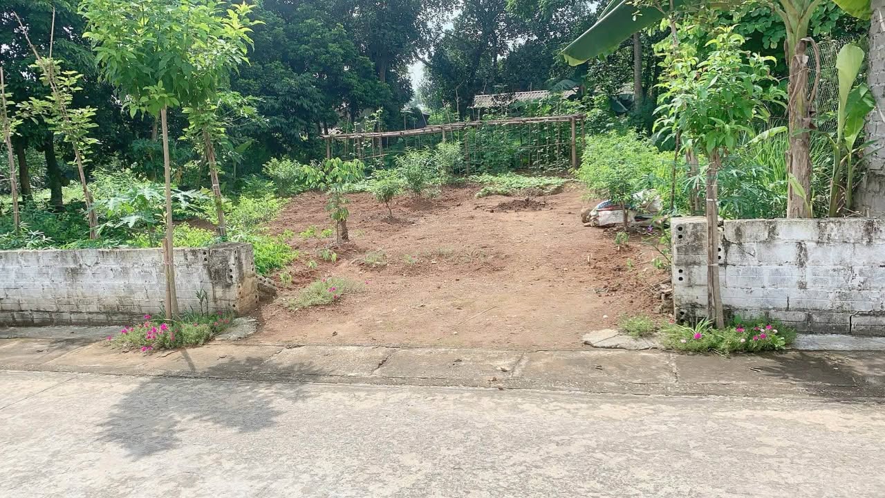 Đất thổ cư 75m² tại thôn Đồng Chay, xã Yên Bài, Ba Vì - Mặt tiền đẹp, giá thỏa thuận!