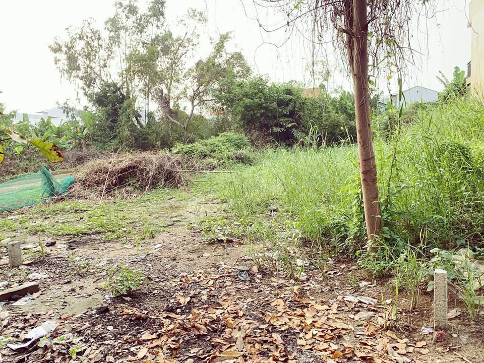 Đất kiệt Otto Chợ Mai, Phú Thượng, 140m² giá 1.4 tỷ - Sổ hồng chính chủ!