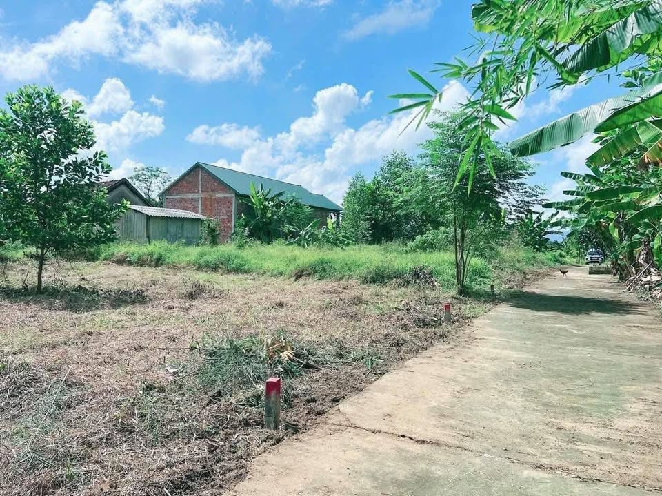 Đất thổ cư Phong Điền 120m² giá 200 triệu - Pháp lý rõ ràng, sổ hồng đầy đủ!