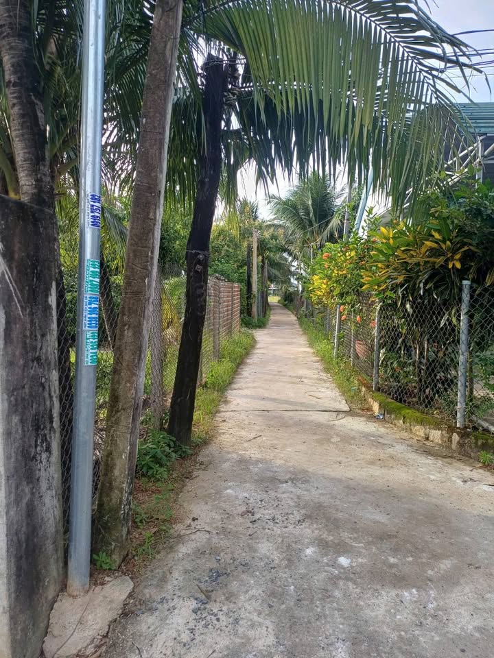 Đất nền Ninh Lộc 300m² giá chỉ 4xx triệu - Cơ hội đầu tư không thể bỏ qua!