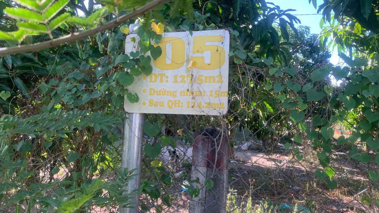 Đất nền Suối Tiên 127,5m² giá 750 triệu - Cơ hội không thể bỏ lỡ!