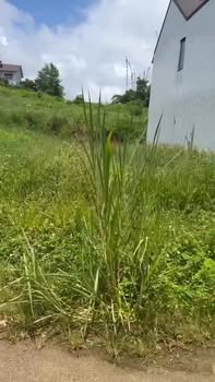 Đất nền Bảo Lộc 95m² giá 899 triệu - Sổ đỏ chính chủ, view thoáng