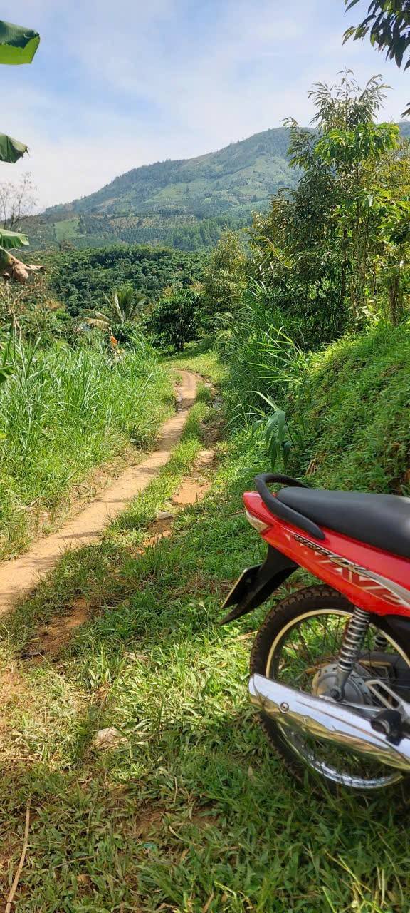 Đất thổ cư Thôn 5 Lộc Nam 1000m² giá 449 triệu - View thoáng mát, gần dân cư!