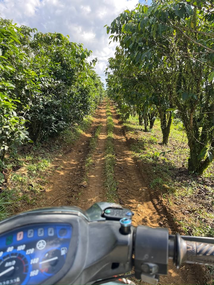 Đất nền Lộc Quảng Bảo Lâm 21600m² giá 3.3 tỷ - Sổ đỏ chính chủ, đầu tư sinh lời!