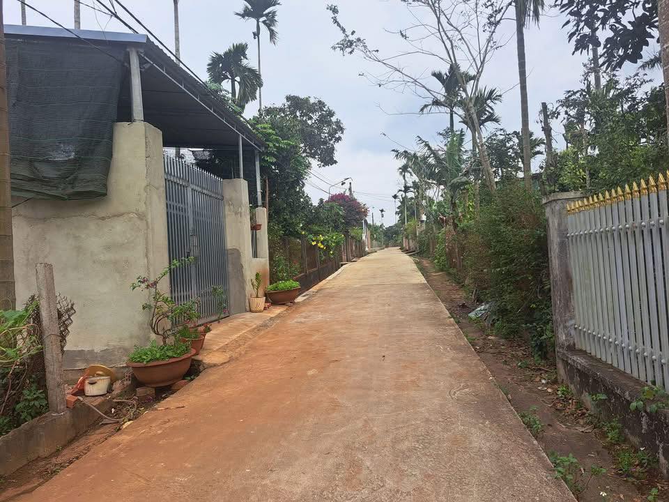 Đất nền Ea Tiêu Cư Kuin 150m² giá 850 triệu - Cơ hội đầu tư lý tưởng!