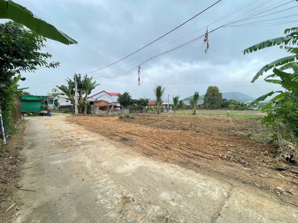 Đất thổ cư Diên Lạc, Diên Khánh 116m² chỉ 850 triệu - Sẵn sàng xây dựng!