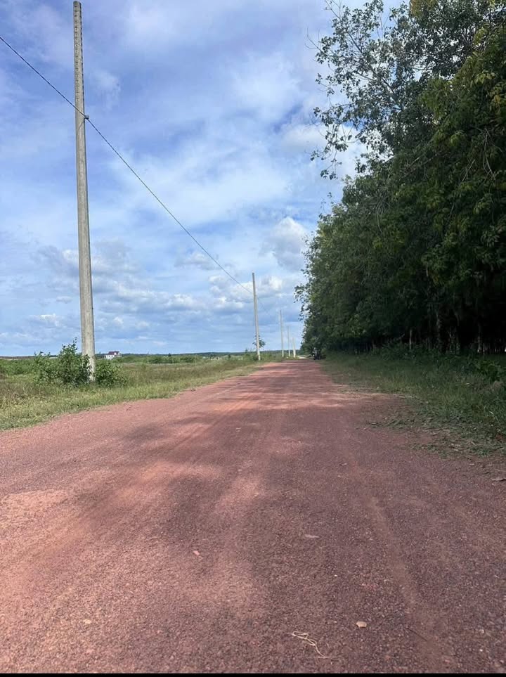 Đất nền Nha Bích Chơn Thành 82.000m² giá 72 tỷ - Pháp lý rõ ràng, sổ hồng riêng!