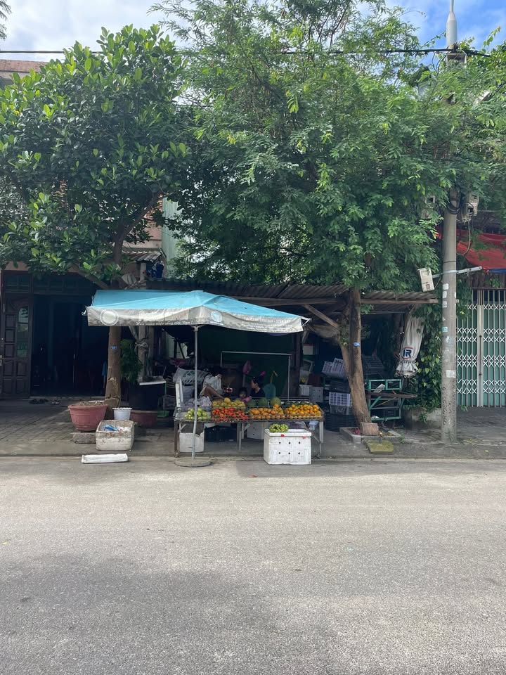 Lô đất đẹp đường Lê Tự Nhất Thống Đà Nẵng 100m² giá 4 tỷ - Đầu tư sinh lời ngay!