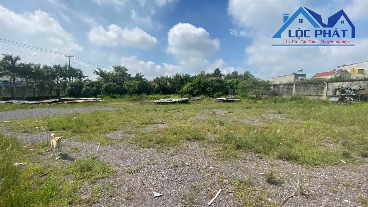 Lô đất mặt tiền đường nhựa An Phước - Long Thành 3.200m² giá 24 tỷ - Đầu tư sinh lời ngay!