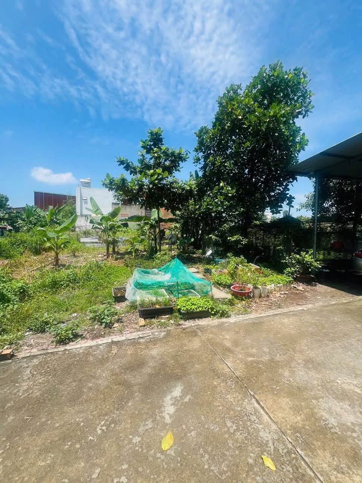Đất nền Trảng Dài, Biên Hòa 80m² giá 690 triệu - Cơ hội đầu tư sinh lời!