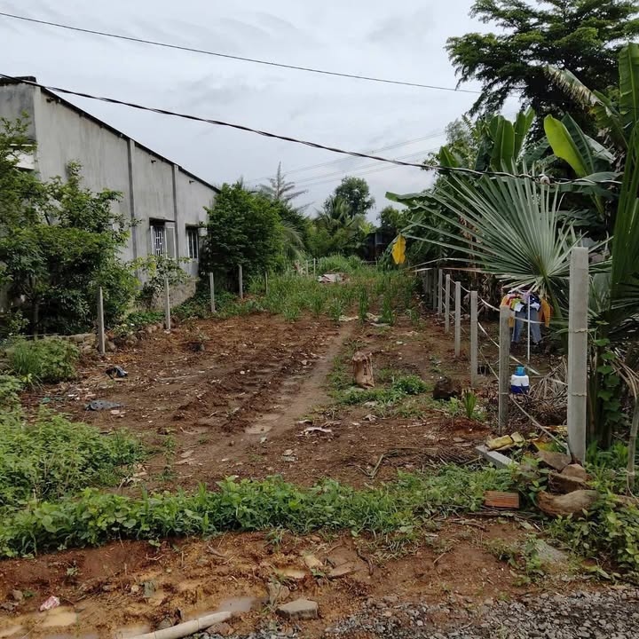 Đất nền Vĩnh An Vĩnh Cửu 500m² giá 700 triệu - Sổ đỏ chính chủ!