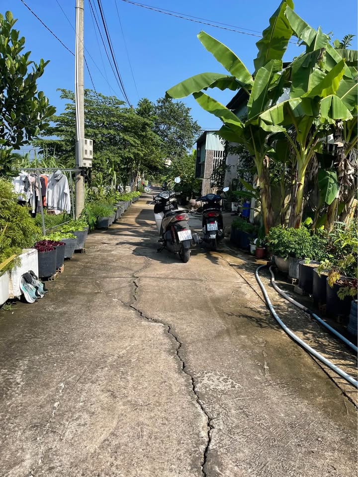 Đất nền Tây Hoà Trảng Bom 120m² - Giá tốt nhất khu vực!