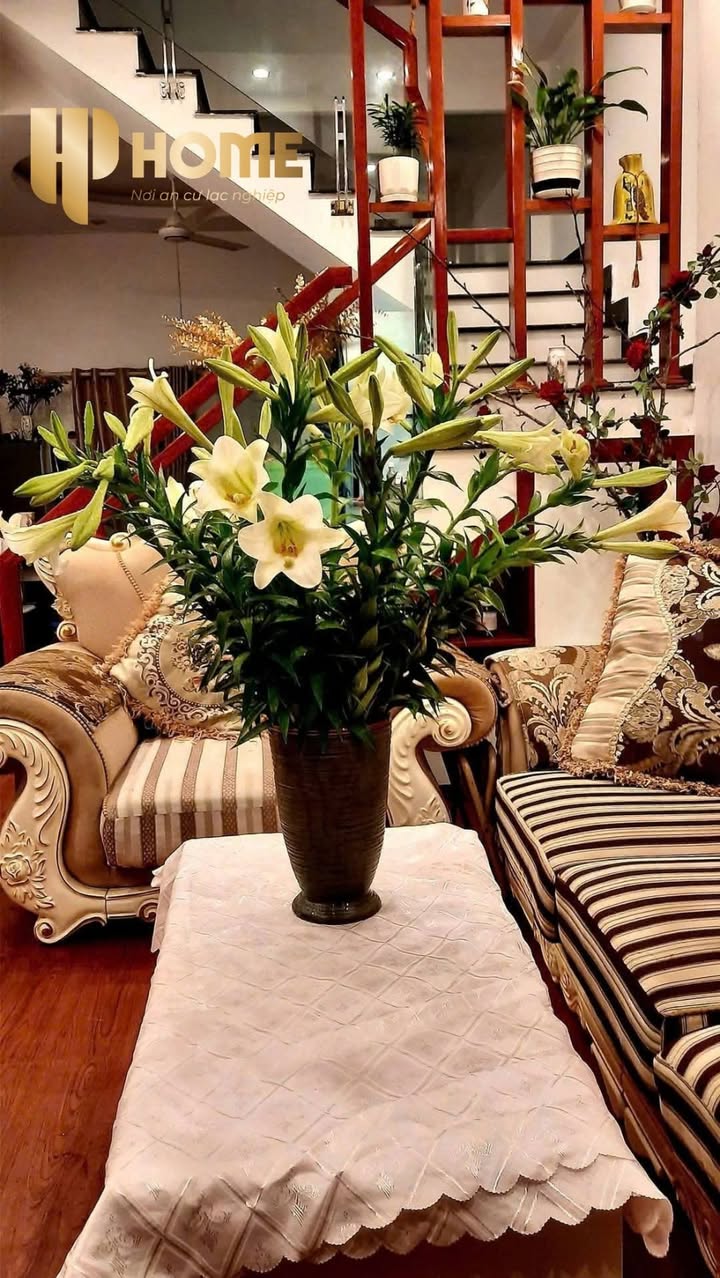 Nhà cho thuê mặt ngõ Đồng Thái, An Dương 60m² giá 3.5 triệu - Full nội thất, ô tô vào được!