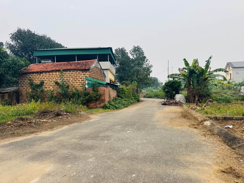 Đất Hạ Bằng Thạch Thất 60.5m² giá 2 tỷ - Đầu tư sinh lời, phong thủy tốt!