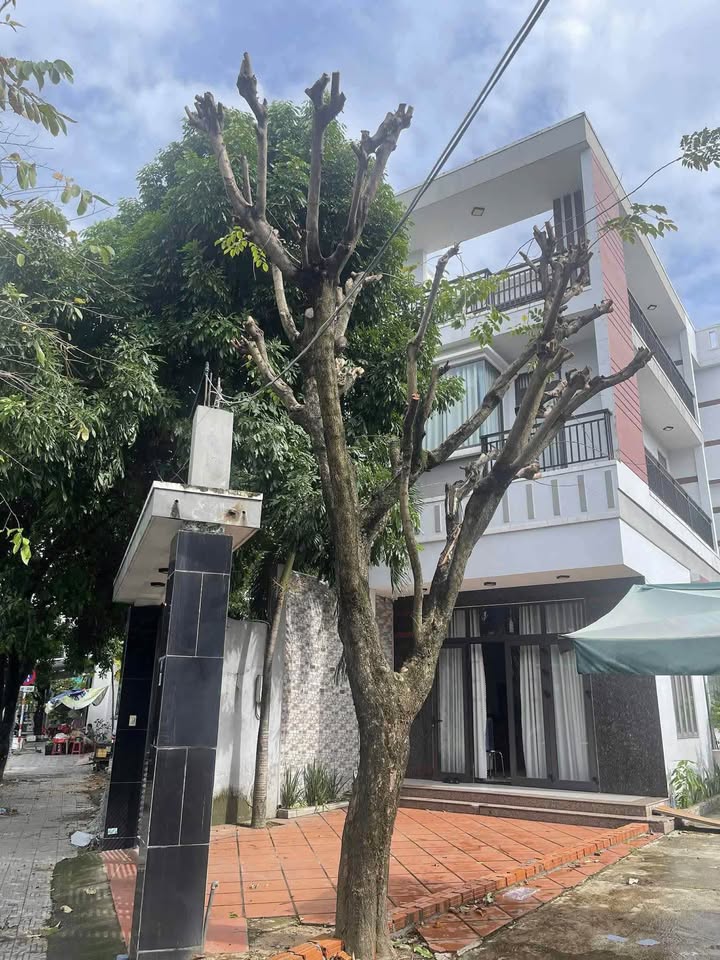 Nhà 3 tầng đường Nguyễn Như Hạnh, quận Liên Chiểu 101m² giá 6 tỷ - Vị trí đắc địa, ô tô vào tận nơi!