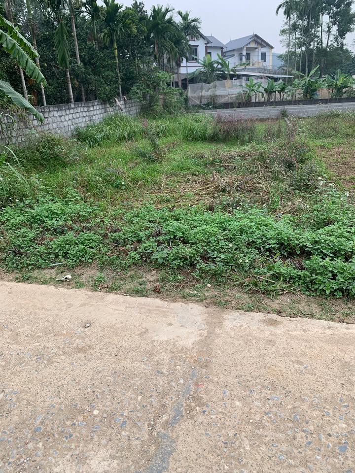 Đất đẹp An Phú, Mỹ Đức 77,2m² giá chỉ 950 triệu - Sổ đỏ chính chủ!