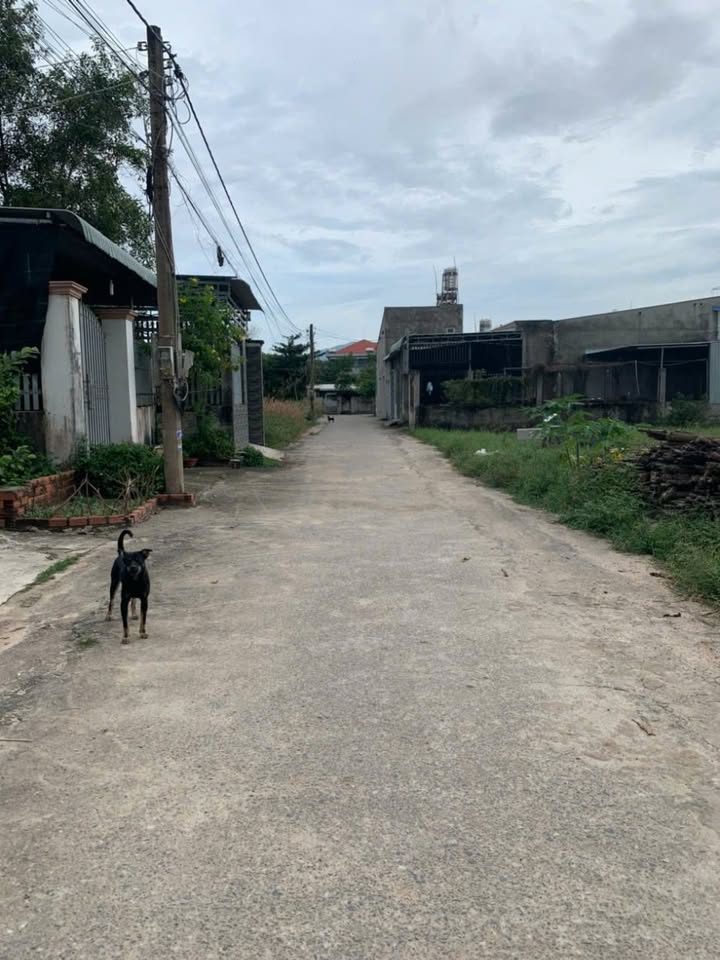 Đất nền Mỹ Tân, Mỹ Xuân 196m² giá 2.8 tỷ - Đầu tư sinh lời ngay!