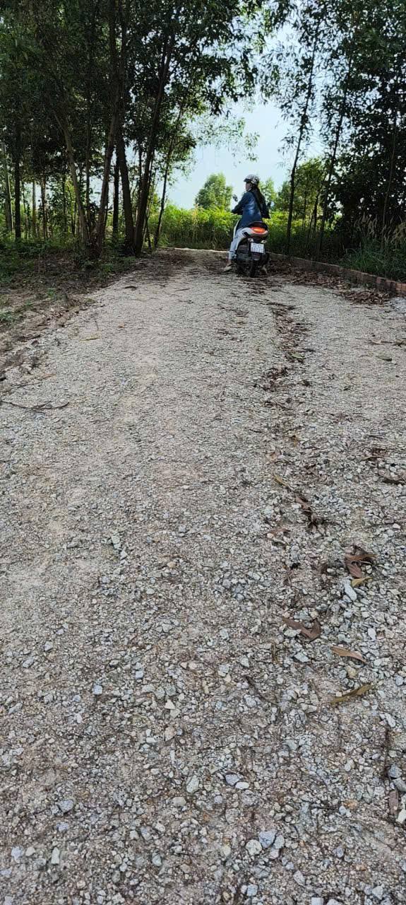 Đất nền 600m² tại Phú Mỹ giá chỉ 1.19 tỷ - Cơ hội đầu tư hấp dẫn!