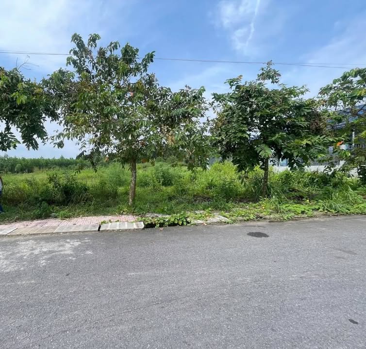 Đất nền Tân An Hội Củ Chi 105m² giá 875 triệu - Sổ hồng riêng, vị trí đẹp!