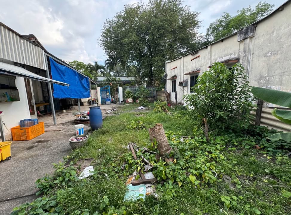 Đất nền Tân Hiệp Hóc Môn 122.8m² giá 3.65 tỷ - Vị trí đẹp, an ninh