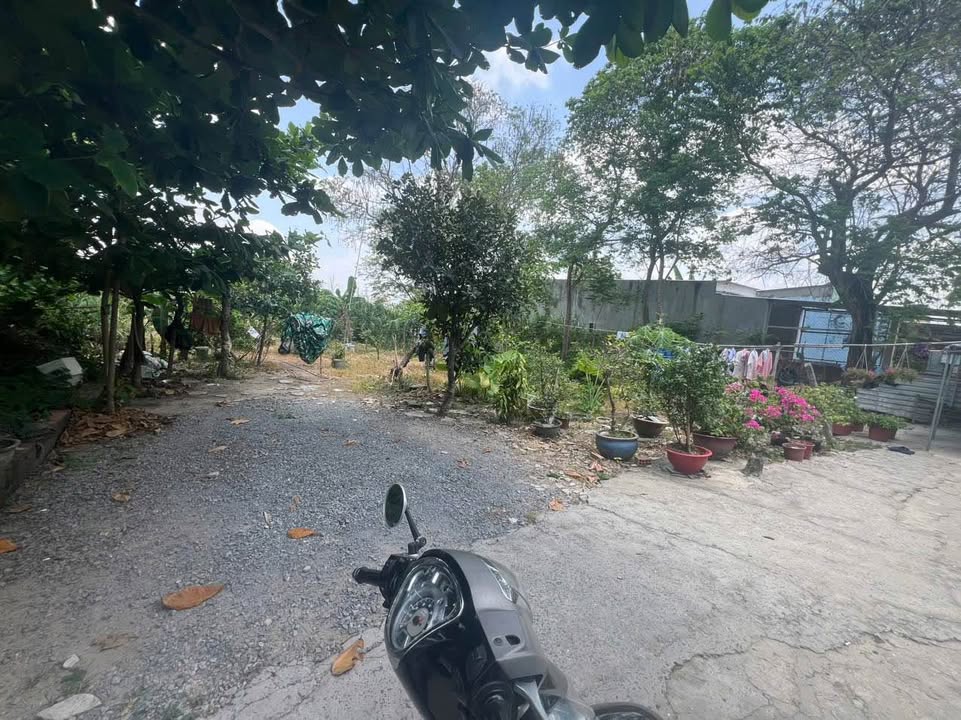 Đất thổ cư Tân Thạnh Đông, Củ Chi 330m² giá 3.1 tỷ - Cơ hội đầu tư tuyệt vời!