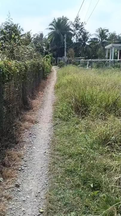 Đất thổ cư 150m² Phường Nhị Quý, Cai Lậy giá 450 triệu - Sổ hồng chính chủ!