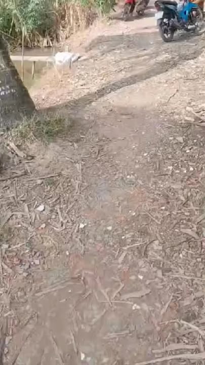 Bán gấp 3 công vườn sầu riêng Thanh Mỹ 3000m² - Giá chỉ 1.2 tỷ VND!