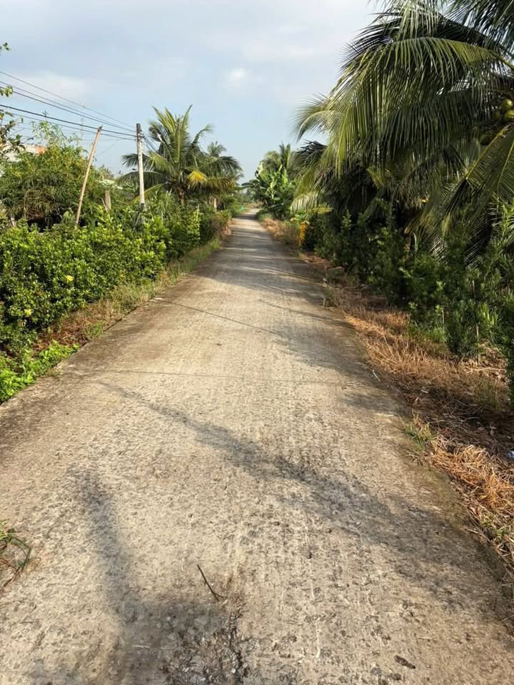 Đất nông nghiệp 10 công xã Phước Lập, Tân Phước, Tiền Giang - Mặt tiền 42m, giá 3.5 tỷ VND!