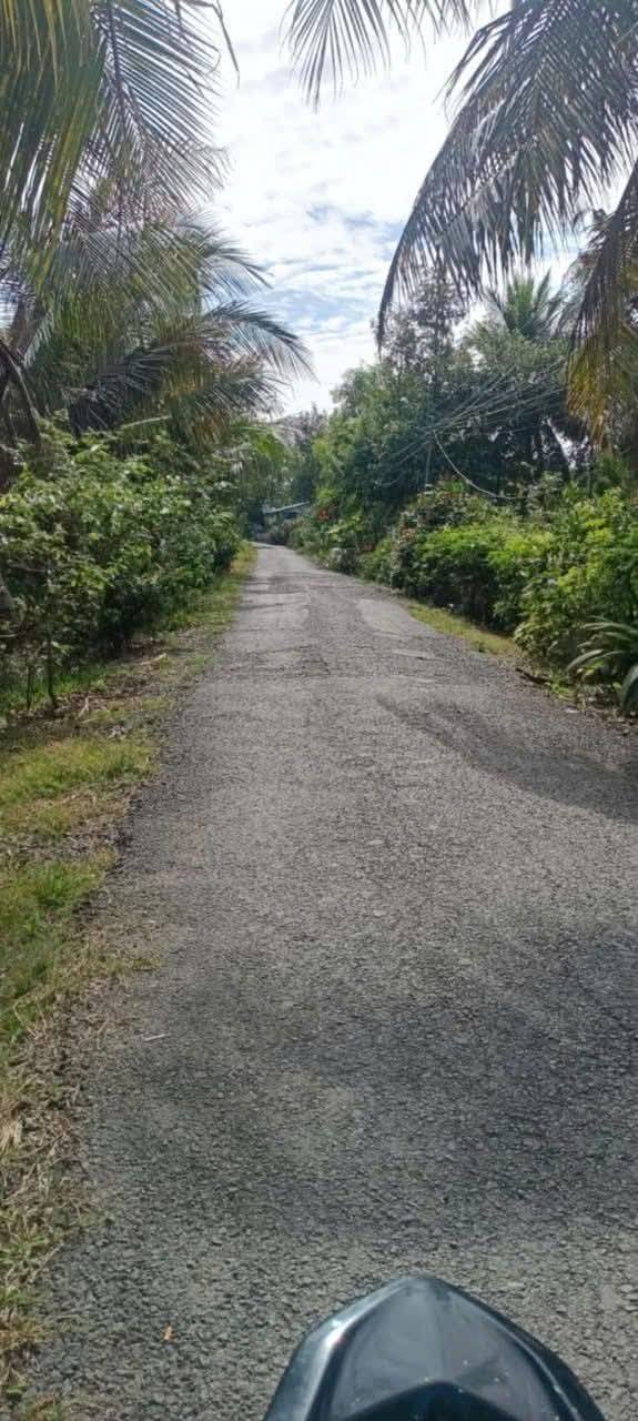 Đất mặt tiền huyện Cai Lậy 270m² giá 1.2 tỷ - Đầu tư sinh lời ngay!