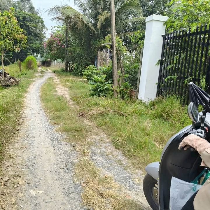 Nhà phố Long Hoa, Hòa Thành, Tây Ninh 210m² - Giá thương lượng hấp dẫn!