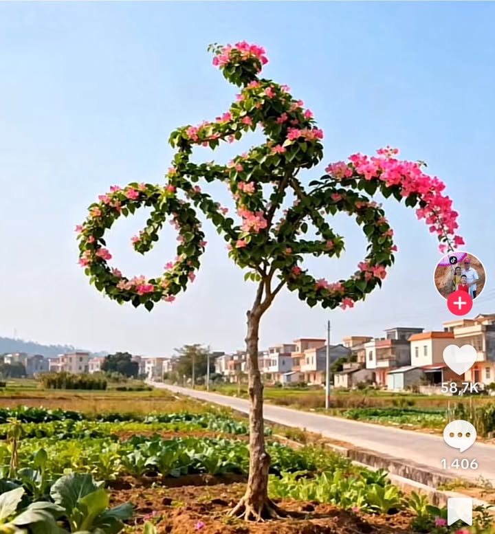 Đất nền Thôn Hiền Lương, Đà Nẵng 120m² giá chỉ 400 triệu - Đầu tư sinh lời lý tưởng