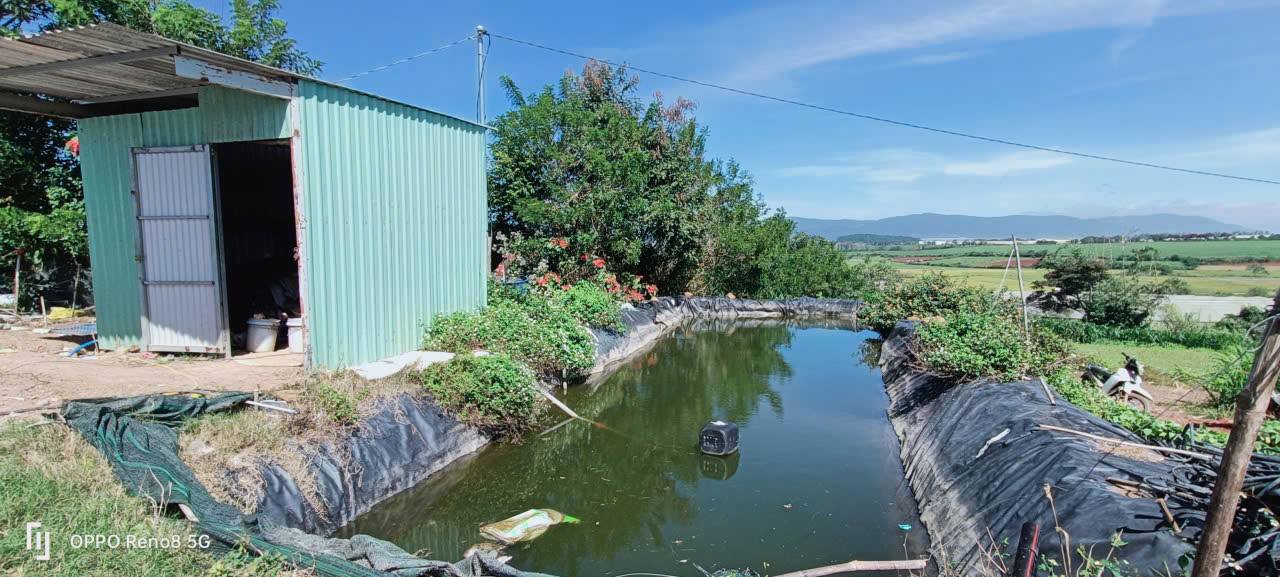 Đất sào Tu Tra Đơn Dương 8000m² giá 3.04 tỷ - Đầu tư sinh lời ngay!