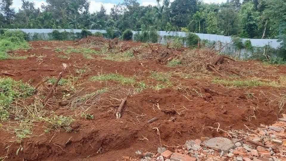 Đất thổ cư Ea Tiêu, Cư Kuin 200m² giá 425 triệu - Cơ hội đầu tư gần sân bay!