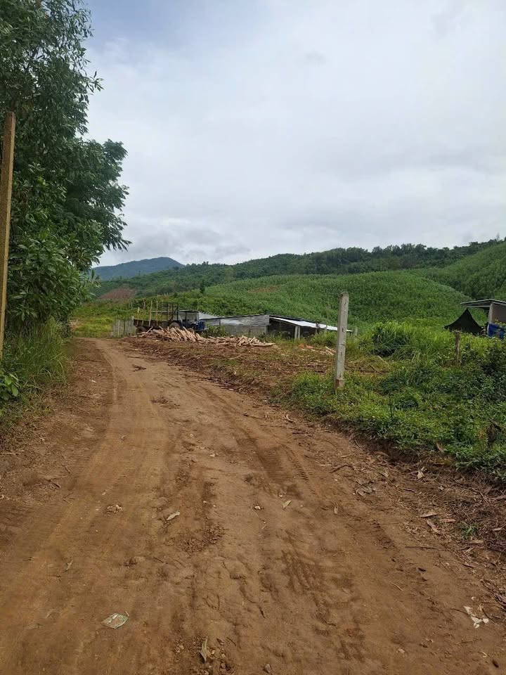 Đất nông nghiệp Khánh Nam, Khánh Vĩnh 18.000m² giá 1.1 tỷ - Tiềm năng phát triển nhà vườn!