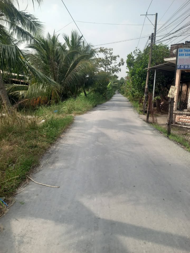 Đất nền Tân Lân, Cần Đước 120m² giá chỉ 650 triệu - Đường ô tô vào tận nơi!